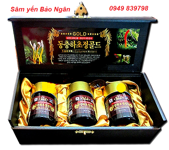 CAO ĐÔNG TRÙNG HẠ THẢO 120G x 3 LỌ